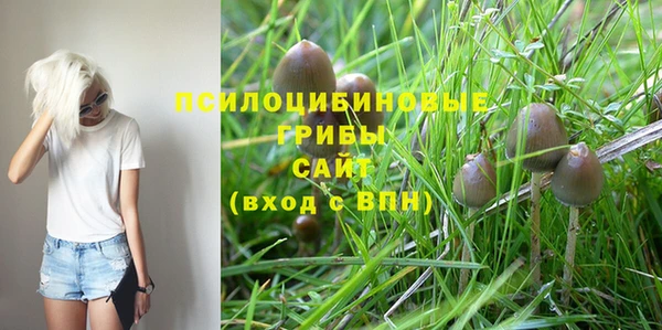 прущий лед Переславль-Залесский